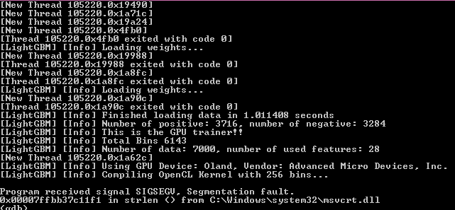 A screenshot of the command prompt where a segmentation fault has occurred while using Light G B M.
